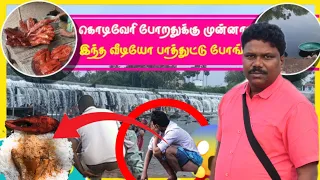 Kodiveri Falls Updates⚡கொடிவேரி போறதுக்கு முன்னா இந்த வீடியோ பாத்துட்டு போங்