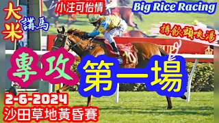 香港賽馬 專攻第一場 2-6-2024 沙田草地黃昏賽 (全場分析拆局，是次策略: WP馬胆一拖二)