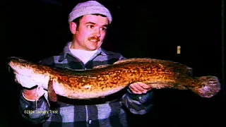 Pike & Perch Fishing Michigan Outdoors - Salmon Recipe 1986-05-22