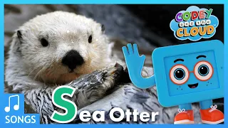 The Sea Otter Song (We Love Clams!) | S for Sea Otter 🦦 | Codey And The Cloud S1 • E5