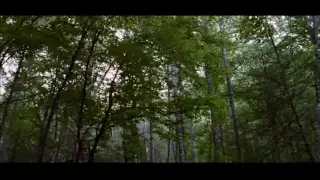 HUNGER GAMES Music Video~ Taylor Swift "Safe and Sound"