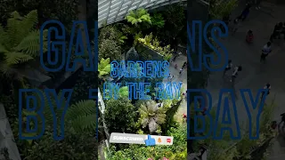 SINGAPORE TRAVEL GUIDE | GARDENS  BY THE BAY