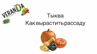 Как посадить ТЫКВУ ? | Сажайте тыкву ТАКИМ СПОСОБОМ