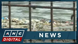 Expert warns vs. rapid rise of Metro Manila's sea level | ANC