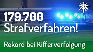 Rekord bei Kifferverfolgung | DHV-News #201