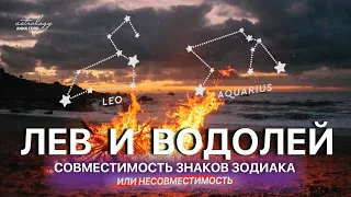 ЛЕВ И ВОДОЛЕЙ СОВМЕСТИМОСТЬ ЗНАКОВ ЗОДИАКА