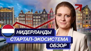 Стартап экосистема Нидерландов | Открытие бизнеса в Нидерландах