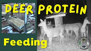Deer Protein Feed | Useful Knowledge