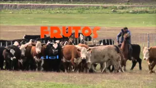 Programa Frutos del País en la Villa Cerro Castillo