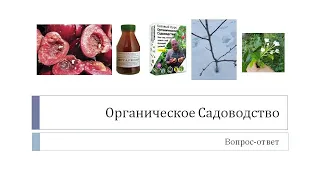 31 вопрос-ответ по саду с профи: формировка дерева-сада, червивые вишни, хрущи, плодородие почв и др