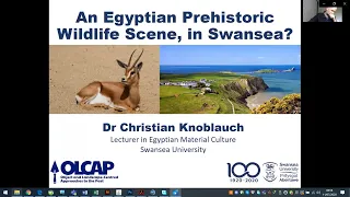 A Prehistoric Wildlife Scene in The Egypt Centre - Christian Knoblauch (10 Jul 20)