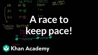 A race to keep pace! | Circulatory system physiology | NCLEX-RN | Khan Academy