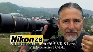 Nikon Z8 and NIKKOR Z 600mm f/6.3 VR S Lens, Z Teleconverter TC-1.4x - 840mm at F/9 - impressive!