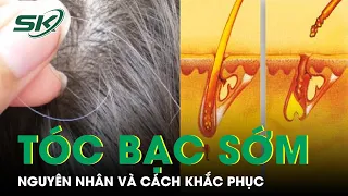 Nguyên Nhân Khiến Tóc Bạc Sớm Và Cách Khắc Phục I SKĐS