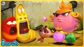 LARVA SEASON 1 EPISODE 248 | CARTOON NEW VERSION | FUNNY CLIP - CARTOONS FOR LIFE