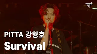 PITTA 강형호 - Survival (LIVE)