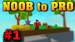 STARTING OUT AS A NOOB *POOR* NOOB to PRO #1 | Roblox Islands (ROBLOX)