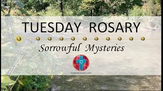 Tuesday Rosary • Sorrowful Mysteries of the Rosary 💜 Yellow Flowers by the River