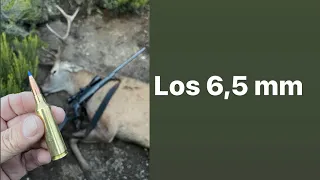 Los calibres del 6,5 mm