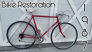 Vintage Bicycle Restoration - 1987 Univega Nuovo Sport Bike - Is It Rusted