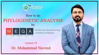 MEGA | How to construct Phylogenetic Tree? | Lecture 14 | Dr. Muhammad Naveed