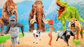 Giant Tiger Lion Vs Giant Dinosaur Chase Buffalo Cow Cartoon Gorilla Save by Woolly Mammoth Elephant