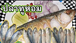 #วิธีทำปลาทูหอม ปลาทูมันใน 1 คืน🐟หอม มัน อร่อย การถนอมอาหารช่วงอยู่บ้าน #การถนอมอาหาร #หารายได้เสริม