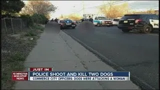 Commerce City Police shoot and kill 2 dogs attacking woman, smaller dog