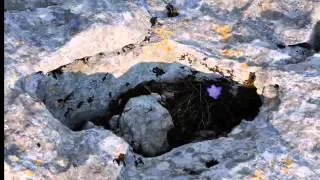 Južni Velebit - područje Panoge/ South Velebit- Panoga area