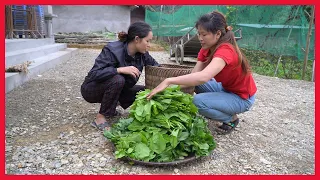 Selling mustard greens to sister who just gave birth to a baby. Building farm, Free Life (ep146)