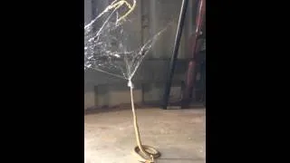 Snake Gets Trapped in Redback Spider's Web (Storyful, Crazy)