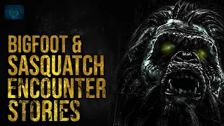 BEWARE THE NIGHT - SASQUATCH AND BIGFOOT SIGHTINGS AND ENCOUNTERS