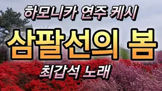 삼팔선의 봄 🌸하모니카 연주 케시 😍최갑석 노래🤔 💕 🌸  😍 🤔 💕 🌸  😍 🤔 💕 🌸 😍 🤔