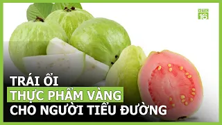 Trái ổi - thực phẩm vàng cho người tiểu đường | VTC16