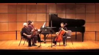 Beethoven Piano Trio Op  1, No  3 1st mov  Dejan Daskalov, Carl Schmidt