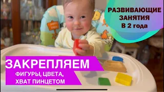 ЗАНЯТИЕ В 2 ГОДА. СОРТИРОВКА ФИГУР, ТРЕНИРОВКА ХВАТА ПИНЦЕТОМ.