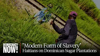 "Modern Form of Slavery": Haitians at Dominican Sugar Plantations Work Under Inhumane Conditions