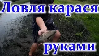 Ловля крупного карася руками... Так я ловлю первый раз!!!