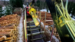 Very heavy spruce for timber crane #3