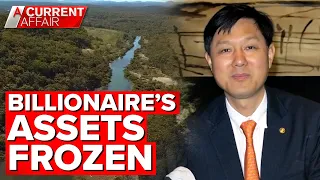 Concerns for land restoration after billionaire's assets frozen | A Current Affair