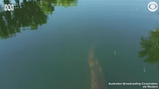 Crocodile attacks drone in Australia