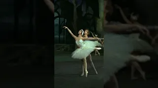 Rudolf Nureyev & Margot Fonteyn Pas de Deux, SWAN LAKE, a Tchaikovsky ballet #shorts #short #ballet