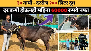 महाराष्ट्रातील एक टॉपचा डेअरी फार्म  💯🔥😱 खर्च कमी नफा जास्त | Trisha Dairy Farm