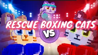 Play Cats Friend Rescue: BOXING CATS
