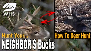 How To Hunt Your Neighbor's Bucks