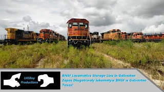 BNSF Locomotive Storage Line in Galveston, TX / Zapas Długotrwały lokomotyw BNSF w Galveston, TX
