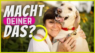 Wenn du sein Herz gewonnen hast, tut dein Hund DAS