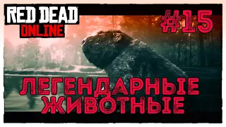 Охота на Легендарных животных, Red Dead Online #15