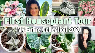 My First Houseplant Tour - Entire Plant Collection 2020 - Plant Tour 100+ Houseplants - HD