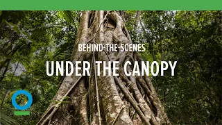 Under the Canopy: Behind-the-Scenes | Conservation International (CI)